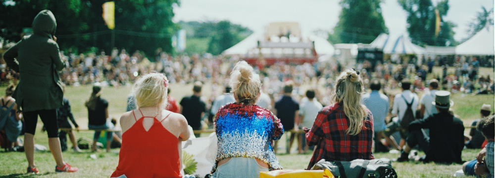 Image showing music lovers at festival after farmer diversified