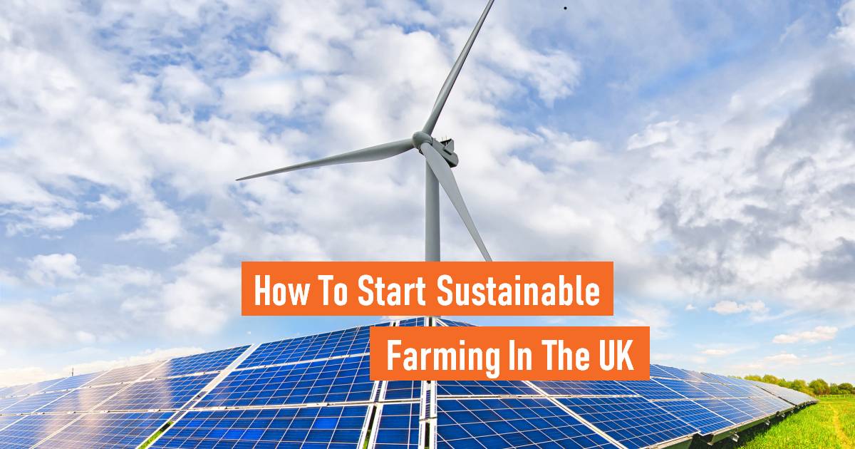 Image with the words How to start sustainable farming in the UK