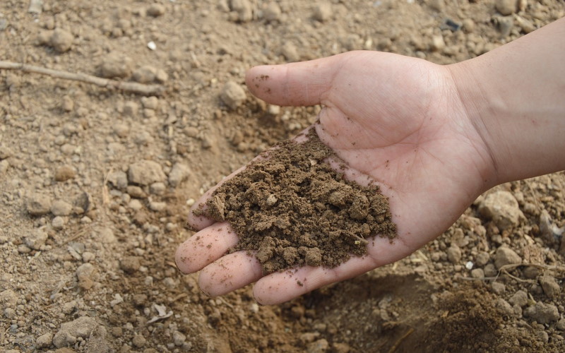 Image of farmer testing soil