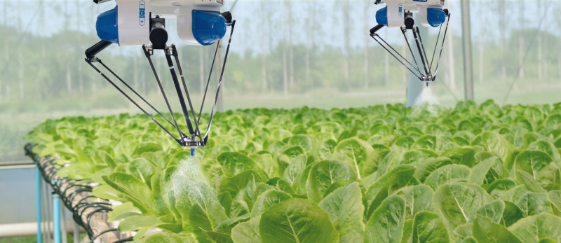 Robotic watering systems in agriculture