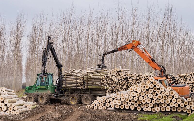 Forestry harvester and excavator piling logs