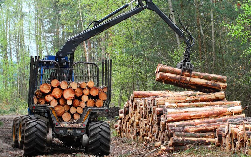 Forestry harvester loading logs onto trailer